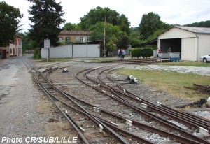 Photo 07.jpg