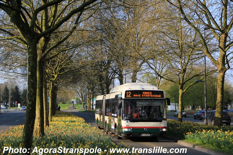 agora transpole 04