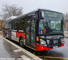citaro59 10533