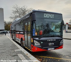 citaro59 10564