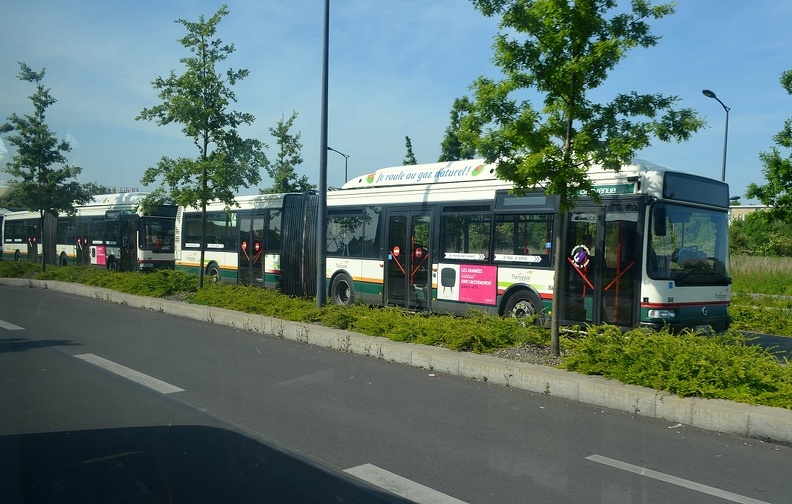 8539 et 8546 navettes Grand Stade