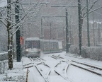 Breda dans la neige